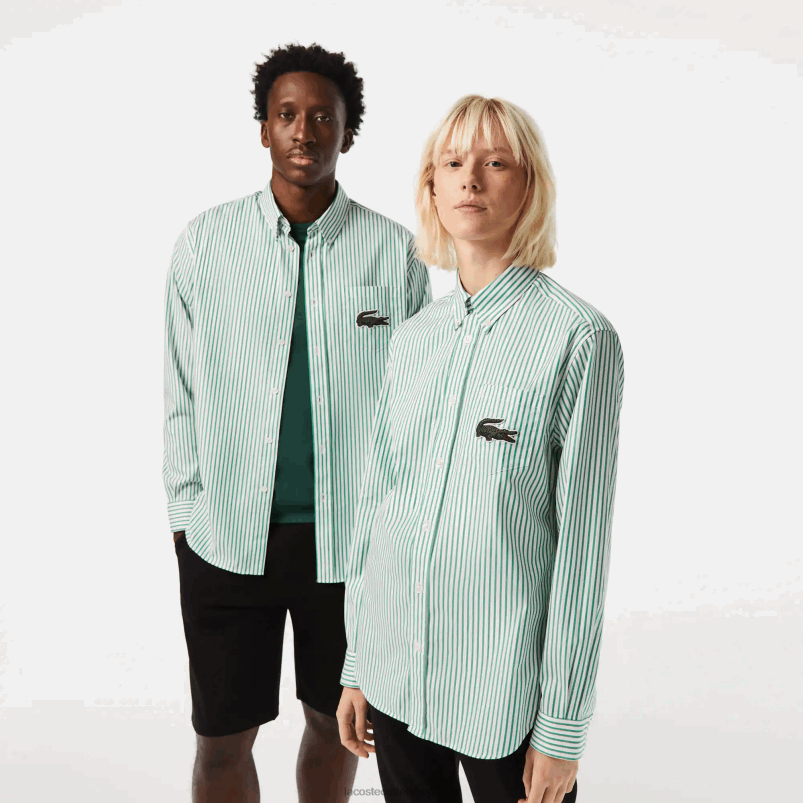 moški Lacoste belo zelena 737 bombažna srajca v krokodil barvi sproščenega kroja P20DL411